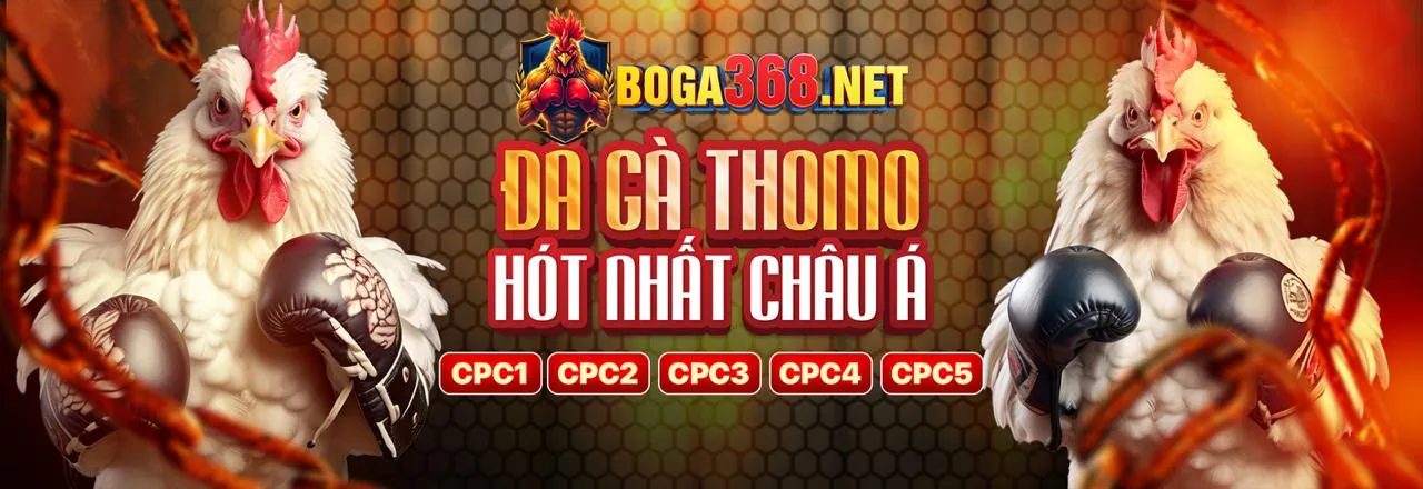 Đá gà trực tuyến kịch tính tại bet69 bet69 us