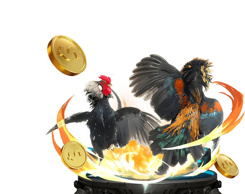 Người chơi xem đá gà trực tiếp tại bet69 bet69 us